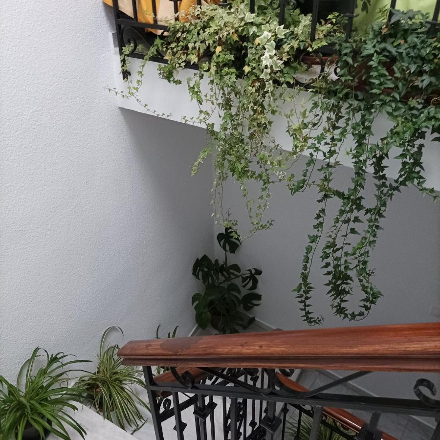 Medina Baguh  Apartment Priego De Cordoba Bagian luar foto