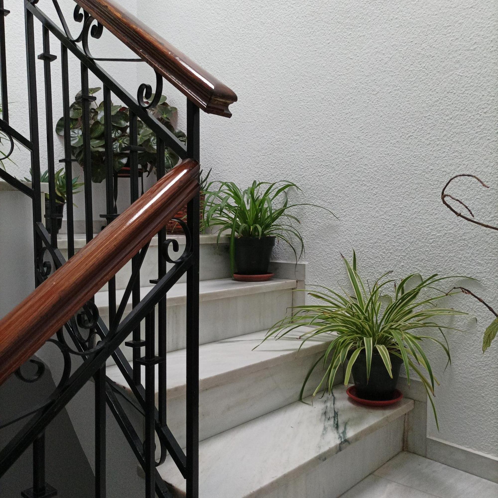 Medina Baguh  Apartment Priego De Cordoba Ruang foto